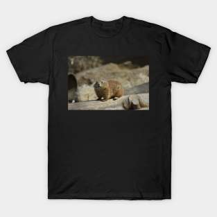 Prairie Dog T-Shirt